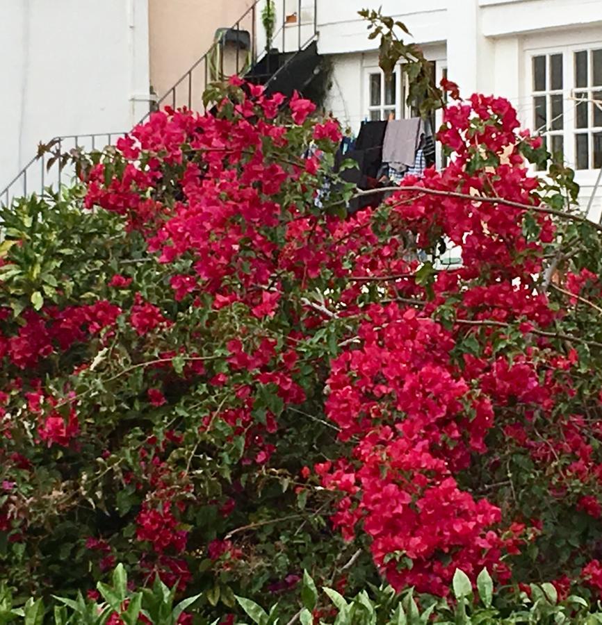 Flores Lizbona Zewnętrze zdjęcie